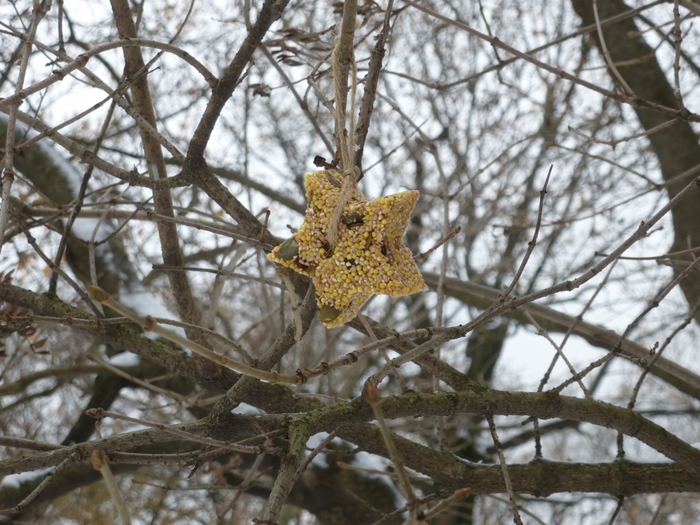 3340980_P1150146 (700x525, 310Kb)