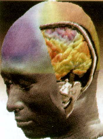 neurovisor_2 (350x473, 149Kb)