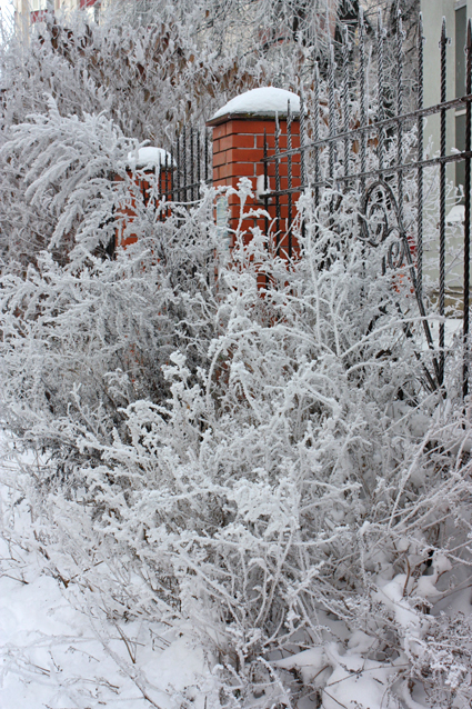 4052195_IMG_9302 (425x638, 397Kb)