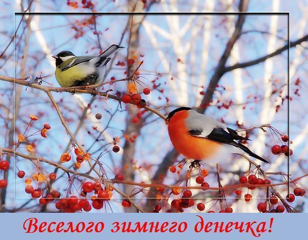 1 (600x467, 57Kb)