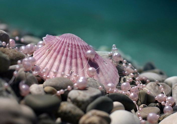 Ракушка на дне. Морская Жемчужница моллюск. Ракушки морские с жемчугом. Розовый морской жемчуг. Розовая Ракушка.