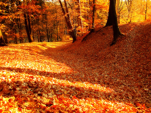 3734746_214 (500x375, 288Kb)