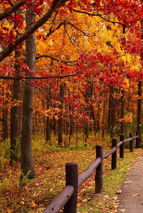 3734746_237_1_ (469x700, 375Kb)