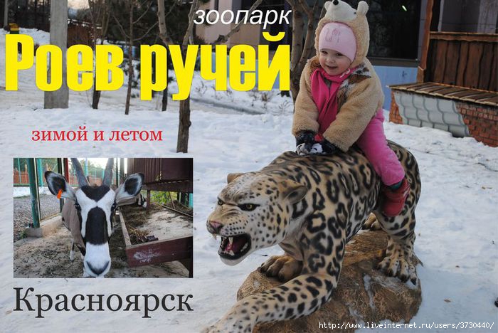 Карта зоопарка красноярск роев ручей