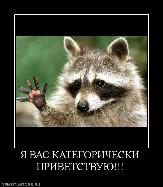81032_ya-vas-kategoricheski-privetstvuyu (560x642, 47Kb)