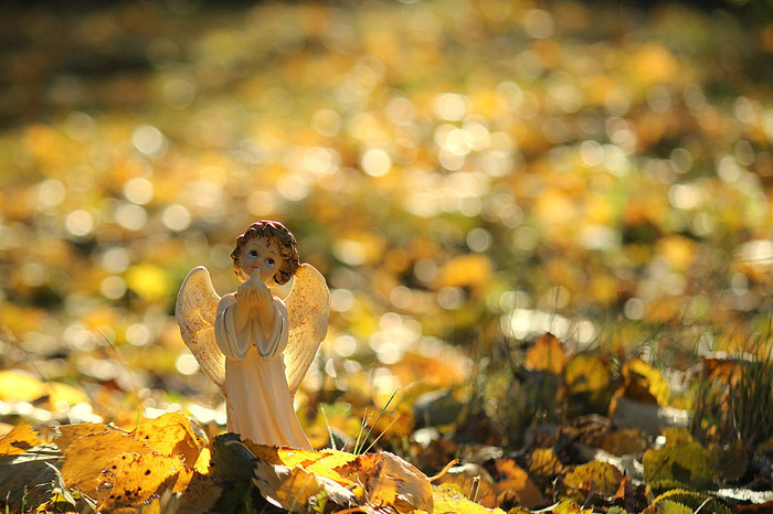 angel (700x466, 119Kb)