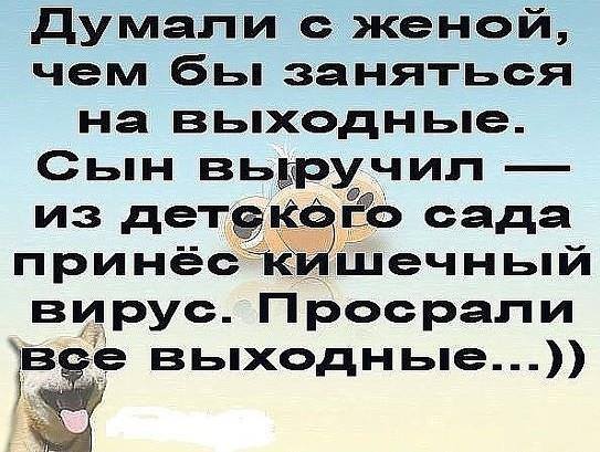    (543x409, 52Kb)