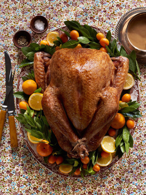 Thanksgiving-Turkey-Images-2 (480x641, 463Kb)