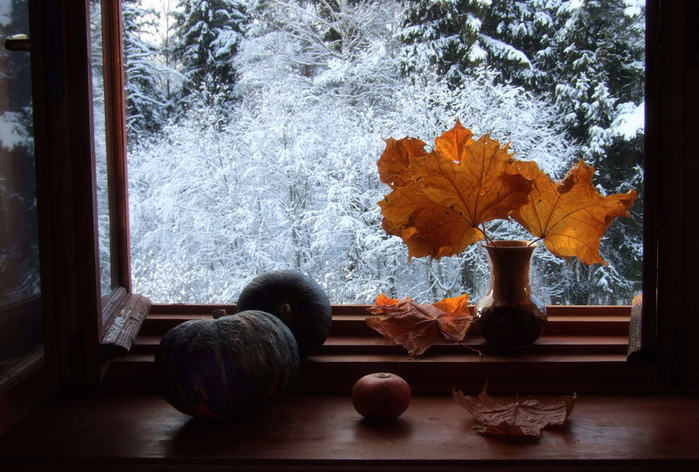 Долгими осенними вечерами мы читали. Зимний натюрморт. Осенний натюрморт на окне. Снег за окном осени. Осень на подоконнике.