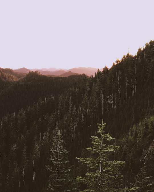 3734746_63 (540x675, 84Kb)