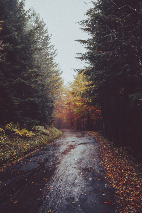 3734746_tumblr_o7f1bt7XIJ1v32bkho1_500 (466x700, 390Kb)