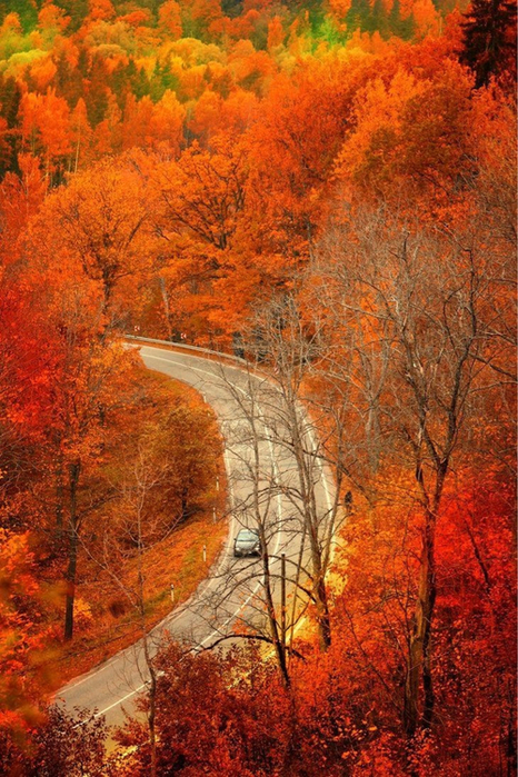 3734746_253 (466x700, 527Kb)