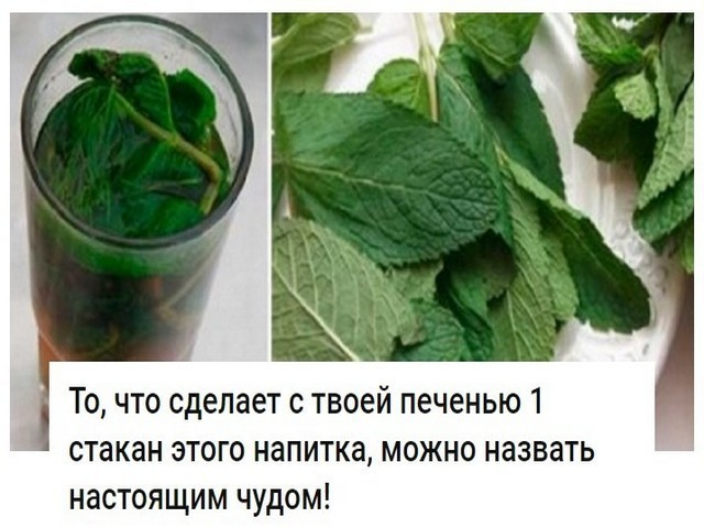 ,. (540x480, 220Kb)