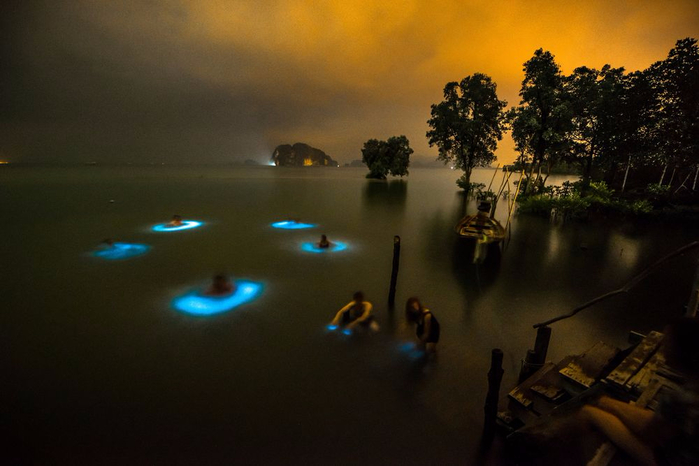 human-Will-Strathmann-was-recently-in-Krabi-Thailand (700x466, 260Kb)