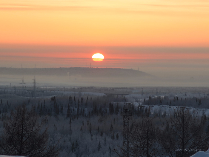 IMG_9960 (700x525, 266Kb)