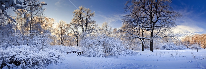 depositphotos_7807519-Winter-panorama (700x234, 162Kb)