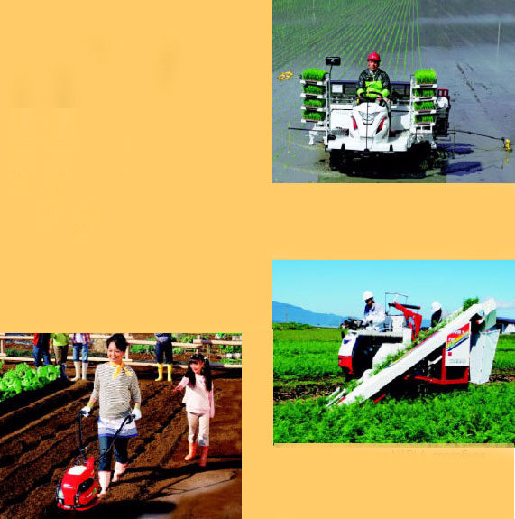 yanmar-2 (571x575, 240Kb)