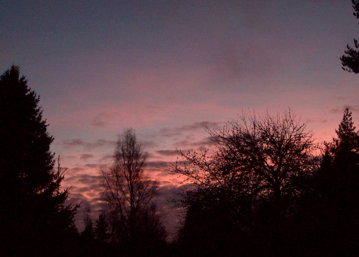 copy (700x502, 325Kb)