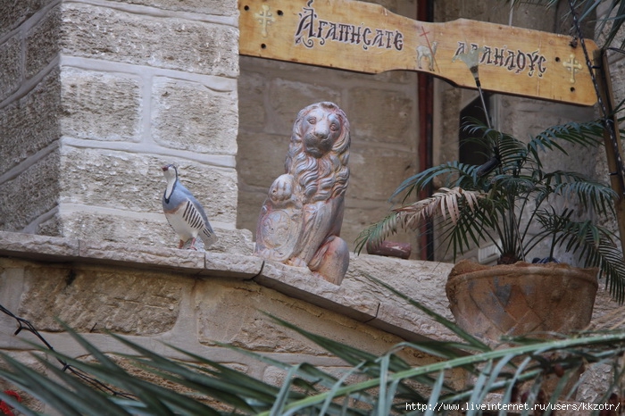IMG_3072 (700x466, 275Kb)