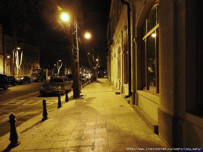 DSCN2101 (700x525, 297Kb)
