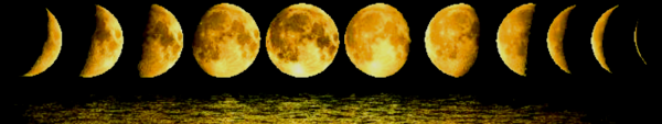 moonheaderblack (600x113, 71Kb)