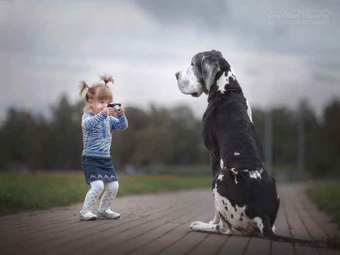 Человек и собака картинки для детей