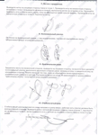  354092-cb645-98976778-m750x740-u23042 (508x700, 230Kb)