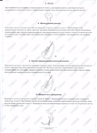  354092-3602b-98976805-m750x740-u5ec2c (508x700, 219Kb)
