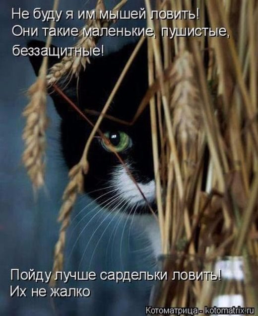 1 (520x636, 253Kb)