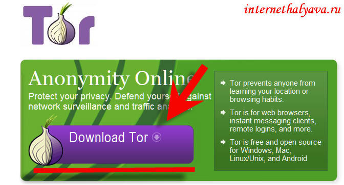 tor_1 (672x363, 58Kb)
