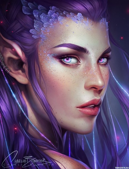 fantastika_elf_28413 (533x700, 86Kb)