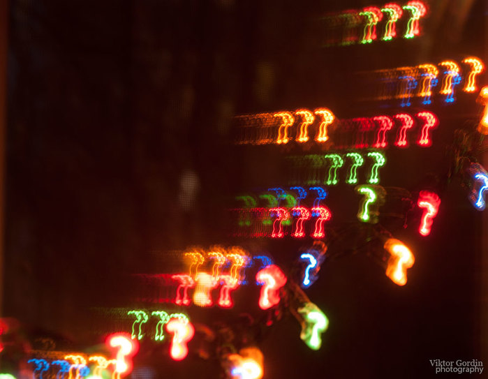 _DSC2676 (700x543, 74Kb)
