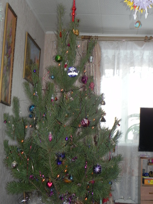 DSCN8658 (525x700, 121Kb)