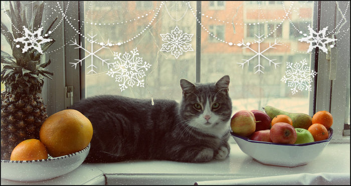 IMG_1907 (700x371, 75Kb)
