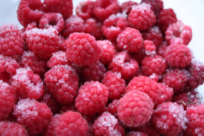 4052195_IMG_9686 (700x466, 261Kb)