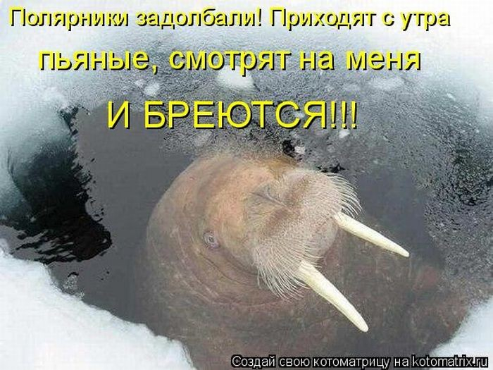 9507145320514527_8f08488d (700x525, 305Kb)
