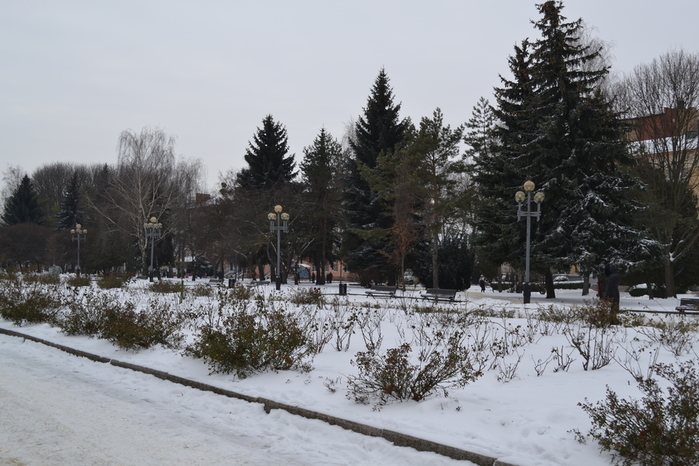 DSC_1572 (700x466, 245Kb)