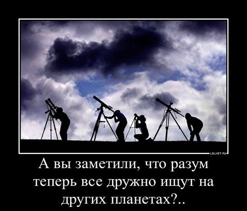 Является ли каша в голове пищей для ума ответ смешной