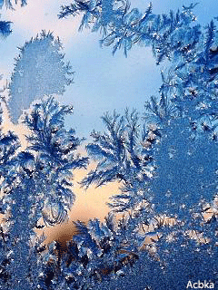 2138482_80578014_717459_1_ (240x320, 170Kb)