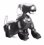 aibo (150x153, 10Kb)