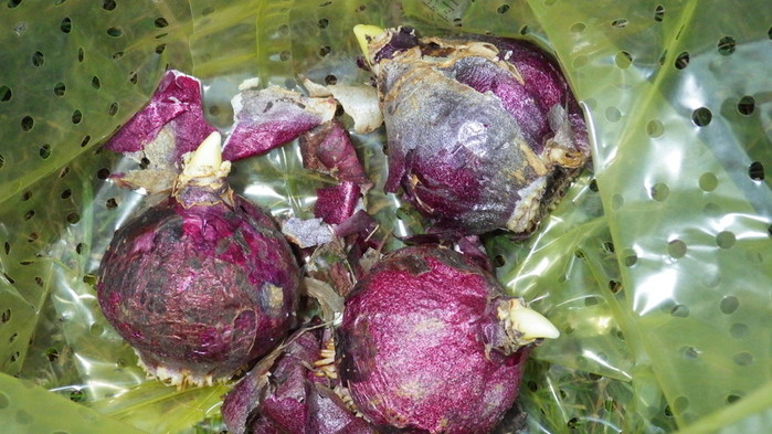 ...........   A (700x393, 109Kb)