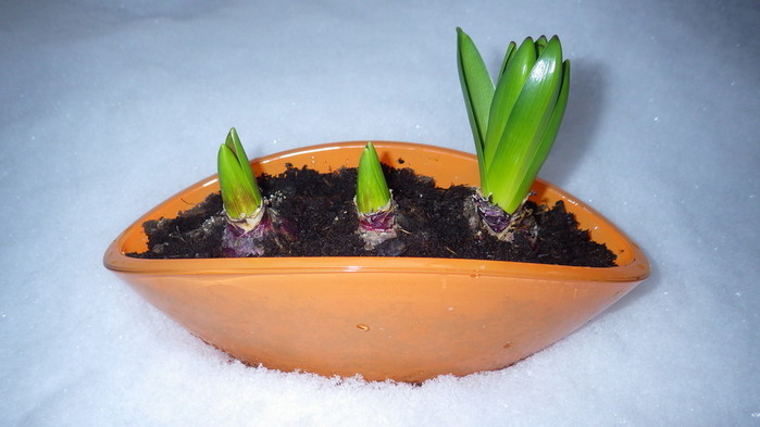 ...........   A (700x393, 58Kb)