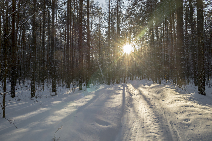 4213829__DSC7543 (700x464, 411Kb)