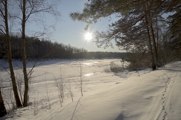 4213829__DSC7560 (700x465, 266Kb)