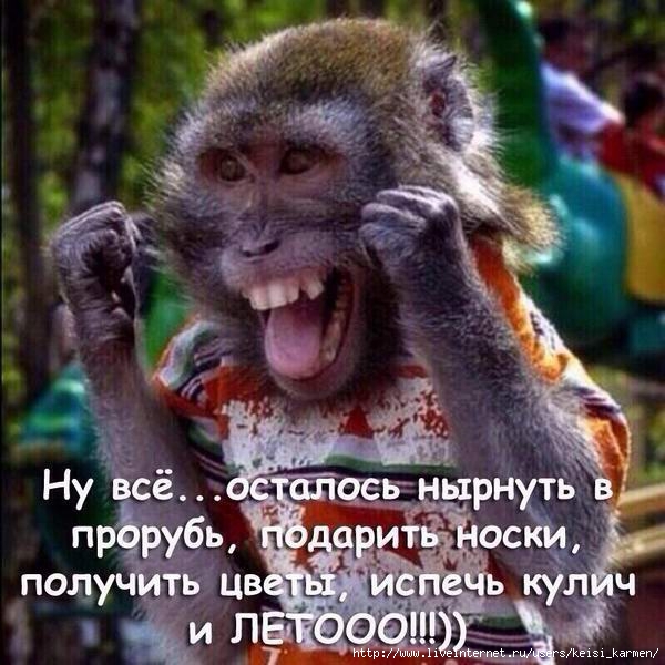 nyrnut-v-prorub-leto (600x600, 208Kb)