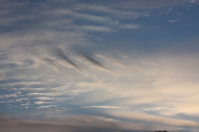 4052195_IMG_9850 (700x466, 143Kb)