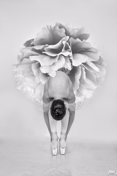 image (466x700, 123Kb)