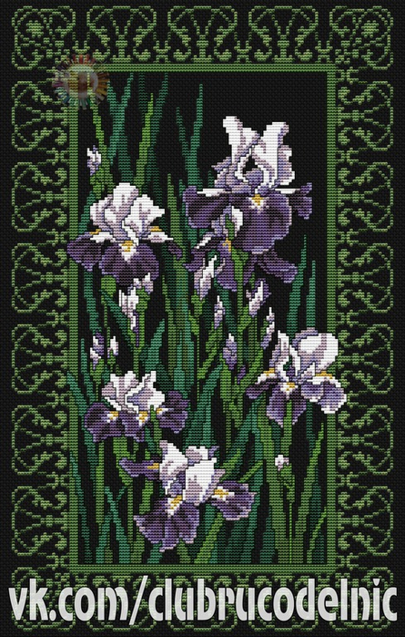 Filigree Irises (445x700, 469Kb)