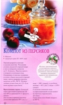  -_page_10 (421x700, 251Kb)
