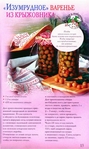  -_page_13 (416x700, 255Kb)